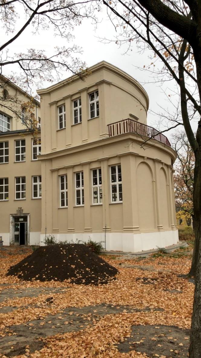 48362411_944214679117188_8116502649064390656_n