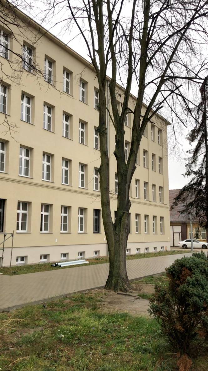 48387647_944214665783856_6142058843963654144_n